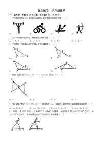 浙江省杭州市西湖区公益中学2024-—2025学年八年级上学期10月月考数学试卷(无答案)