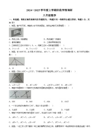 山东省临沂市2024-2025学年八年级上学期数学月考试题(无答案)