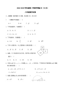 广东省茂名市高州市第一中学附属实验中学2024-2025学年八年级上学期10月月考数学试题