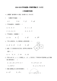 广东省茂名市高州市第一中学附属实验中学2024-2025学年八年级上学期10月月考数学试题