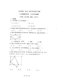 辽宁省沈阳市于洪区大兴九年一贯制学校2024-2025学年九年级上学期10月月考数学试题