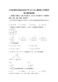 山东省淄博市临淄区临淄区实验中学2023-2024学年九年级上学期期末数学试题(含解析)