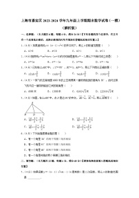 上海市嘉定区2023-2024学年九年级上学期期末数学试卷（一模）（含解析）