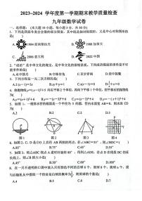 2023-2024学年广东省惠州市惠东县九年级（上）期末数学试卷