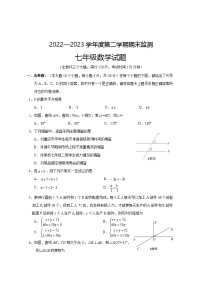 重庆市2022-2023学年七年级下学期期末考试数学试题(含答案）