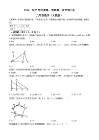 河南省周口市鹿邑县2024-2025学年八年级上学期10月月考数学试题(无答案)