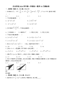 上海市存志学校 2024-2025学年 七年级上学期数学10月月考试卷(无答案)