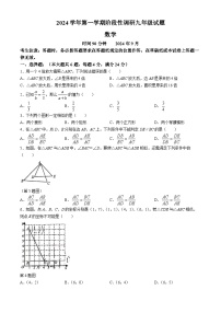 上海市田林中学2024-2025学年 九年级上学期9月月考数学卷(无答案)