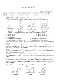 2024-2025学年沪科版数学八年级上册  期末综合测试卷(四)