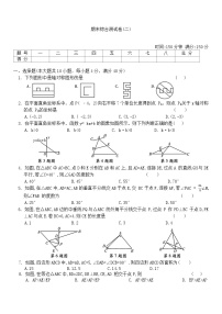 2024-2025学年沪科版数学八年级上册  期末综合测试卷(二)