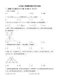 2024-2025学年北师大版九年级数学上学期期中模拟试卷