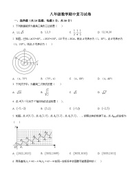 2024-2025学年北师大版八年级上学期数学期中模拟试卷