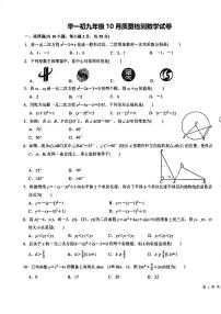 湖北省武汉市 华中师范大学第一附属中学初中部2024-2025学年上学期10月九年级数学试题