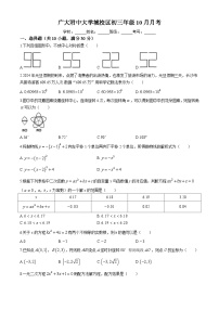 广东省广州市广大附中大学城校区2024-2025学年九年级上学期10月月考数学试卷(无答案)