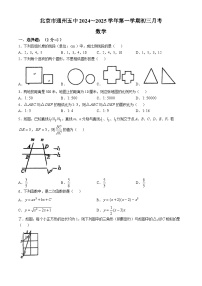 北京市第五中学通州校区2024--2025学年上学期九年级月考数学试卷（10月份）(无答案)