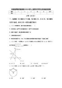 安徽省阜阳市临泉县2024年九上数学开学学业质量监测试题【含答案】