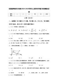 安徽省阜阳市太和县2024-2025学年九上数学开学复习检测模拟试题【含答案】