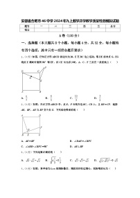 安徽省合肥市46中学2024年九上数学开学教学质量检测模拟试题【含答案】