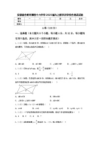 安徽省合肥市第四十六中学2025届九上数学开学综合测试试题【含答案】