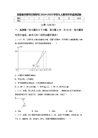 安徽省合肥市行知学校2024-2025学年九上数学开学监测试题【含答案】