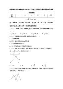 安徽省合肥市瑶海区2024-2025学年九年级数学第一学期开学统考模拟试题【含答案】