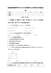 安徽省合肥新康中学2024-2025学年数学九上开学学业水平测试试题【含答案】