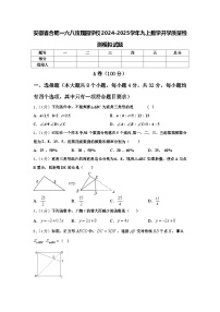 安徽省合肥一六八玫瑰园学校2024-2025学年九上数学开学质量检测模拟试题【含答案】