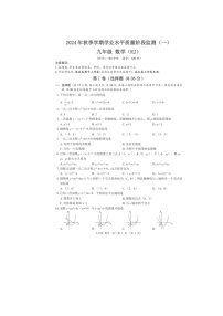 广西河池市凤山县2024-2025学年九年级上学期10月检测数学试题