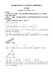 上海市建平实验中学2024—-2025学年上学期10月月考九年级数学试卷(无答案)