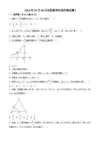 山东省淄博市临淄区实验2024-—2025学年上学期九年级月考数学试卷(无答案)