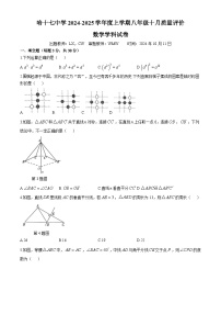 黑龙江省哈尔滨市第十七中学校2024-2025学年八年级上学期十月质量评价数学试卷(无答案)