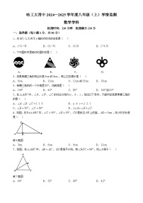 黑龙江省哈尔滨市工业大学附属中学2024-2025学年八年级上学期10月月考数学试卷(无答案)