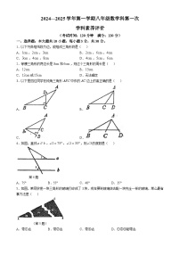 广东省江门市怡福中学2024-2025学年八年级上学期第一次月考数学试题 (无答案)