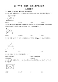 广东省佛山市顺德区第一中学外国语学校2024-—2025学年上学期第一次月考10月九年级数学试题(无答案)