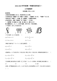 安徽省阜阳市颍州区阜阳市第十五中学2024-2025学年九年级上学期10月月考数学试题(无答案)