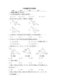 湖南省长沙市宁乡市白马桥街道宁乡一中白马桥初级中学2024-2025学年八年级上学期10月月考数学试题