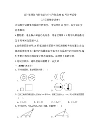 四川省绵阳市游仙区2024-2025学年八年级上学期10月月考数学试题