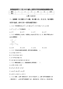 安徽省宿州市十三校2025届九上数学开学质量跟踪监视模拟试题【含答案】