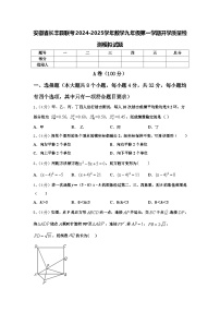 安徽省长丰县联考2024-2025学年数学九年级第一学期开学质量检测模拟试题【含答案】