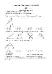 上海市浦东新区进才中学东校2024-2025学年九年级上学期数学10月月考卷(无答案)