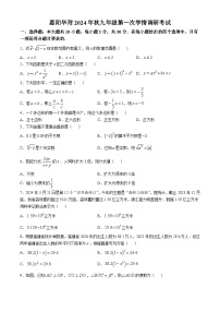 广东省惠州市惠阳区华南师范大学附属学校2024-2025学年九年级上学期第一次月考数学试题(无答案)