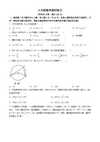 江苏省徐州市树人初级中学2024-2025学年九年级上学期10月月考数学试题(无答案)