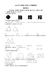 湖南省长沙市中雅中学2024-2025学年八年级上学期第一次月考数学试卷(无答案)