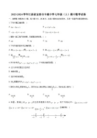 江西省丰城中学2023-2024学年七年级上学期11月期中考试数学试卷(含解析)