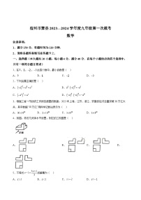 安徽省宿州市萧县2024届九年级下学期中考一模数学试卷(含答案)