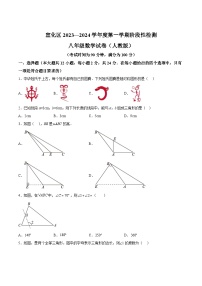 河北省张家口市宣化区2023-2024学年八年级上学期期中阶段性检测数学试卷(含解析)