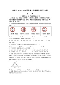 湖北省孝感市应城市2023-2024学年八年级上学期期中考试数学试卷(含答案)