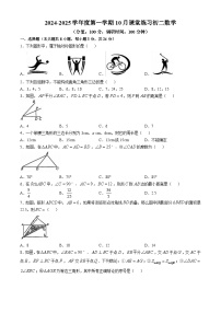 江苏省苏州园区青剑湖实验中学2024-2025学年八年级上学期10月月考数学试题(无答案)