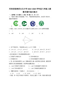 河南省信阳市淮滨县台头乡初级中学 2024-2025学年 八年级上期数学期中综合练习