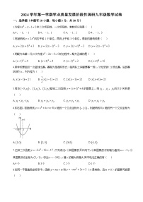 广东省广州市华南师范大学附属中学2024—2025学年上学期10月月考九年级数学试卷(无答案)